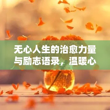 无心人生的治愈力量与励志语录,温暖心灵的话语
