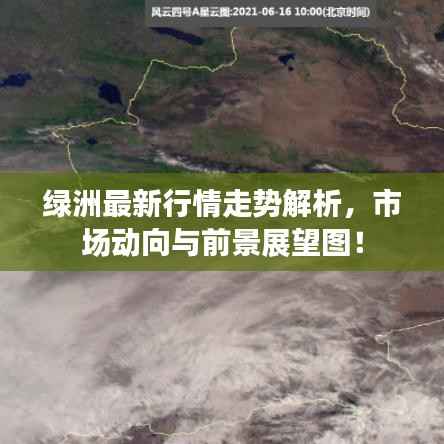 绿洲最新行情走势解析,市场动向与前景展望图!